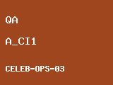 [QA-CELEB-OPS-03] OPS-A 스타일 - 셀린느 루즈핏 코튼 저지 반팔 티셔츠